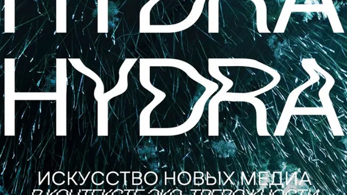 Кракен это даркнет маркетплейс