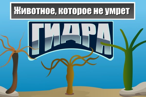 Kraken зеркало рабочее