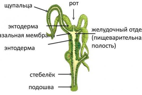 Каталог онион сайтов